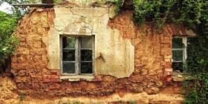 A dilapidated house with overgrown vines.