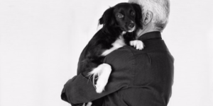 A forlorn looking dog being taken by a man.