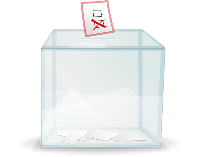 ballot-box-32384_640